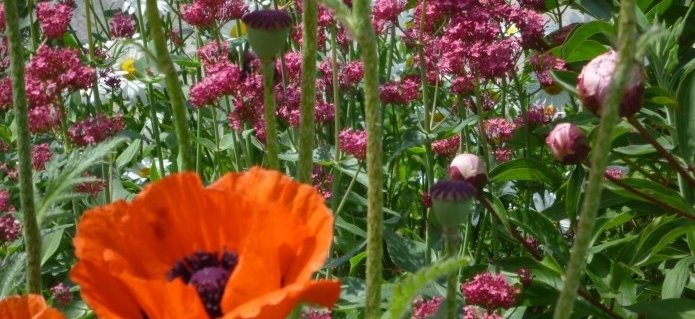 002Gartenbau_Schwimmbad_Poolbau_Blumenladen_Gärtnerei_ZimmermannFlaach_Flaach